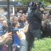 Με εκατοντάδες …χειραψίες και …φωτογραφίες και σε εξαιρετική φυσική κατάσταση
