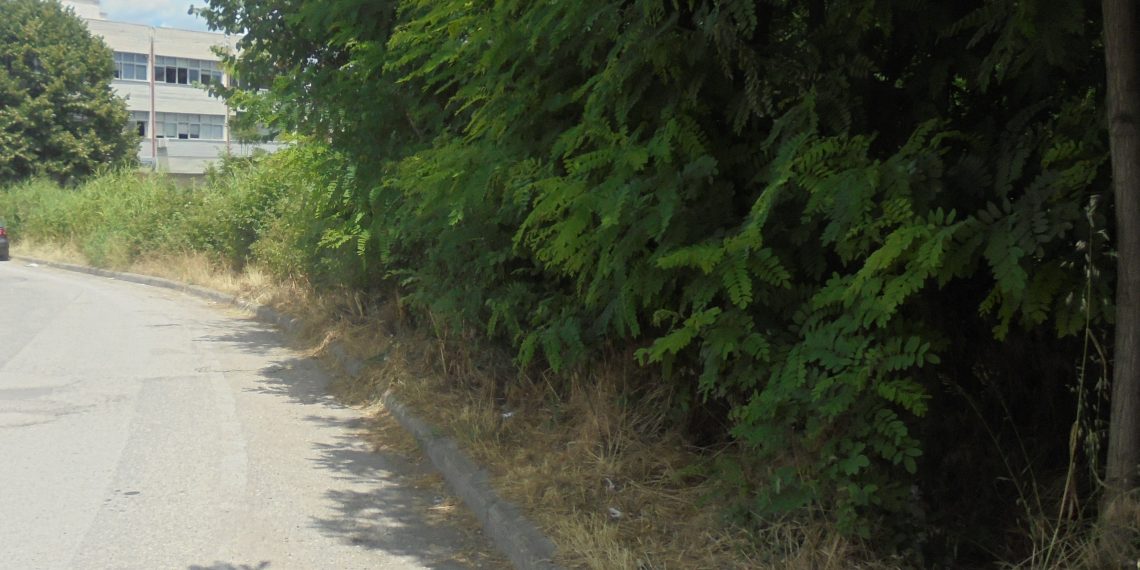 Σας φαίνονται για πεζοδρόμια;