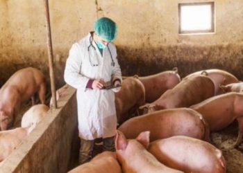 Σε έκτακτη κατάσταση η Βουλγαρία και …συναγερμός στην Ευρώπη
