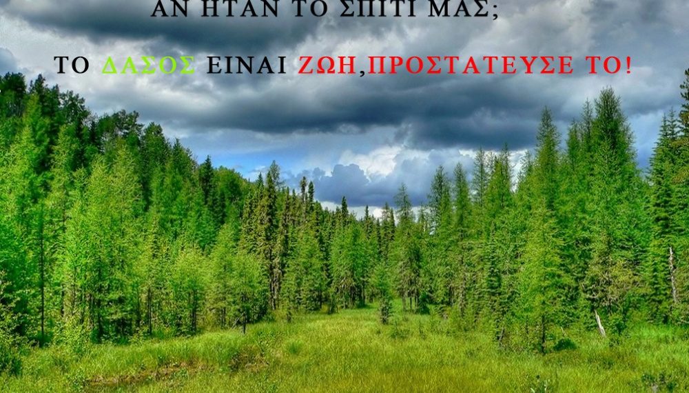 Για την προστασία των δασών από τις πυρκαγιές