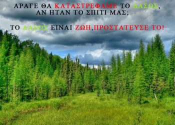 Για την προστασία των δασών από τις πυρκαγιές