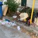 Τι ψήφισε είπαμε η Αγία Μονή;