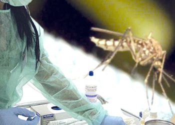 Λάρισα και Καρδίτσα ψηλά στην λίστα των ασθενών με «ιό Δυτικού Νείλου»