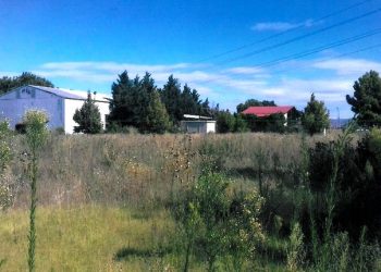 Το έφτασε στον …Πρωθυπουργό
