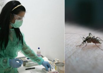 Διψήφιος πλέον ο αριθμός των νεκρών από τον «ιό του Δυτικού Νείλου»