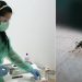 Διψήφιος πλέον ο αριθμός των νεκρών από τον «ιό του Δυτικού Νείλου»