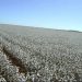 «Σβήνει» μια ιστορική φράση των Τρικαλινών