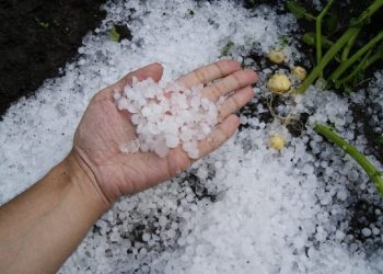 Η χαλαζόπτωση στον Νομό Τρικάλων στην …Βουλή