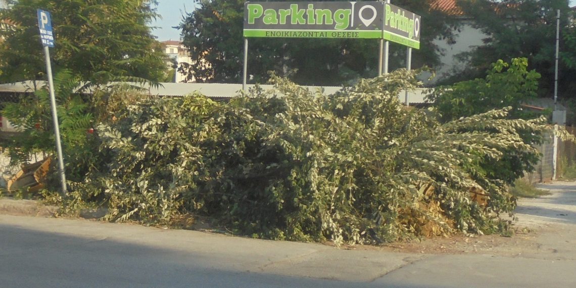 Τι να σου κάνει και ο …Ζιώγας