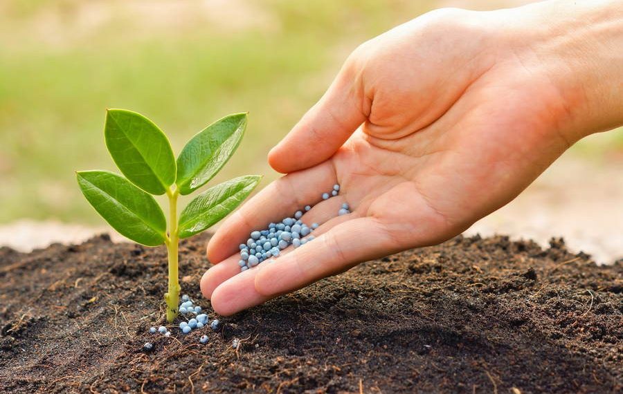 Το νέο Δ.Σ. του Γεωπονικού Συλλόγου Τρικάλων
