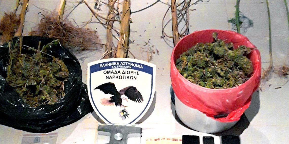 Χειροπέδες σε Τρικαλινές και Τρικαλινό και δικογραφία για 10 άτομα