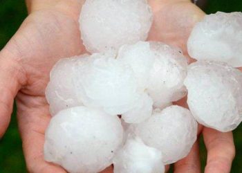 Αυτοψία στην καταστροφή Τρικαλινών βαμβακοπαραγωγών