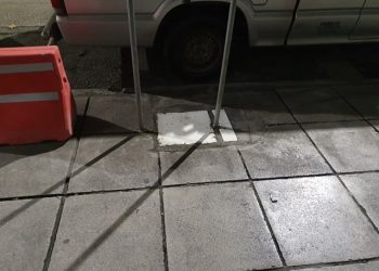 Στα Τρίκαλα η αναδάσωση γίνεται με …τσιμέντο