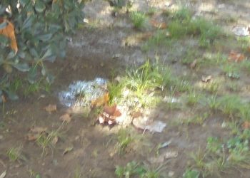 Άφησε το …αποτύπωμα του ο «Ελληνάρας» στο κέντρο των Τρικάλων