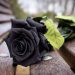 Δολοφόνησε την 5χρονη κόρη της και αυτοκτόνησε