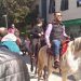 Βγαίνουν στα Τρίκαλα τα …άλογα