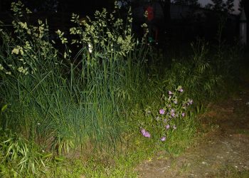 Το …χαλάκι του «κορωνοϊού» στα Τρίκαλα