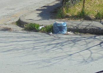 Σιγά μην τα πάει στον …κάδο