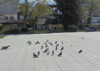 «Έπεσε» πείνα στα Τρίκαλα