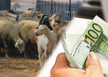Ποσό 1.826.000 ευρώ σε Τρικαλινούς Κτηνοτρόφους για την συνδεδεμένη στα αιγοπρόβατα