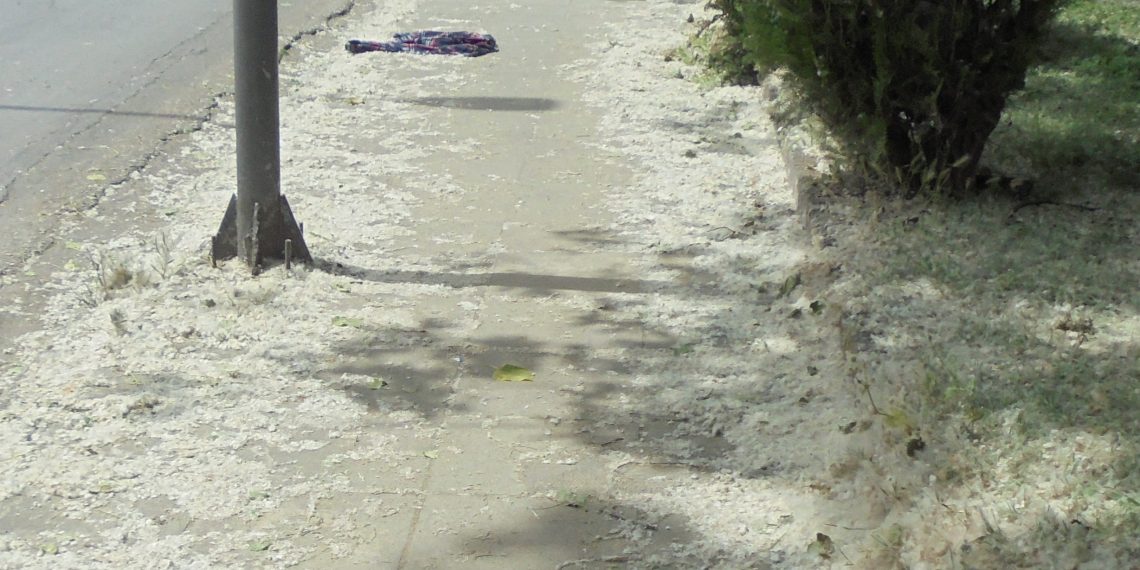 Όλα στα Τρίκαλα για ένα …αδειανό πουκάμισο