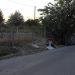 Πεζοδρόμιο …σκουπιδότοπος