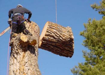 Τι μένει και τι …κόβεται στα Τρίκαλα