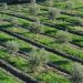 Παράταση μισθώσεων δημοτικών αγροτεμαχίων στα Τρίκαλα λόγω… «κορωνοϊού»