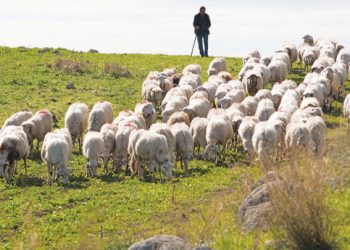 Επιστροφή στην Ελλάδα παρακρατηθέντα Κοινοτικών ενισχύσεων