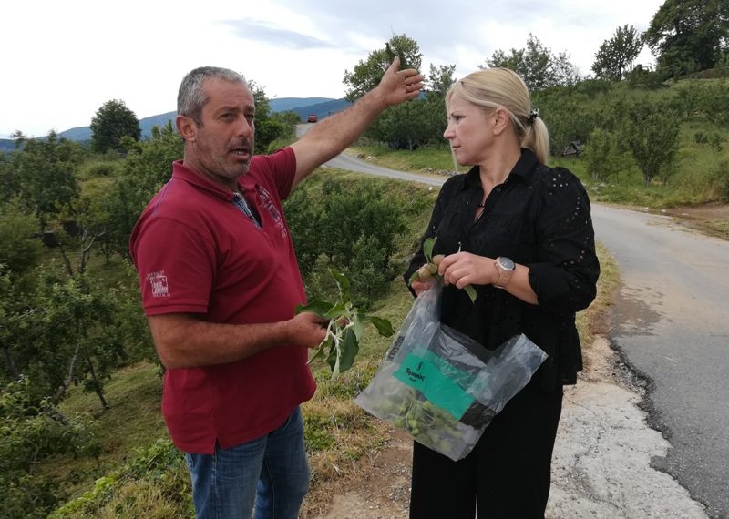Χαλαζόπτωση στον Δήμο Ζαγοράς-Μουρεσίου