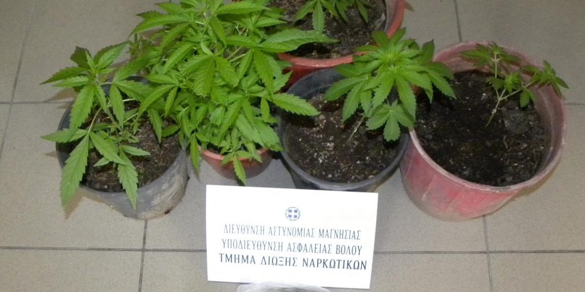 Με την συνδρομή σκύλου η έρευνα των Αστυνομικών σε οικία