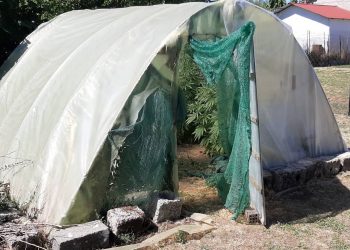 Χειροπέδες σε Τρικαλινό για … «θερμοκήπιο»
