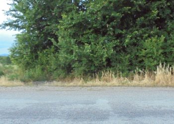 Διάβασε το …μήνυμα και έδρασε ο Αντιδήμαρχος