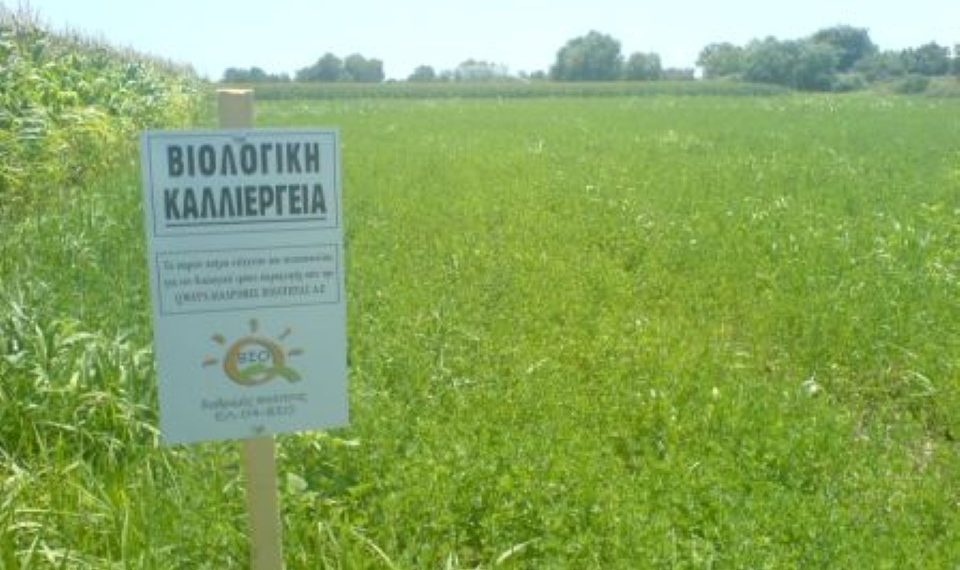 Κραυγή αγωνίας από τους αγρότες και «σιγή ιχθύος» από το Υπουργείο