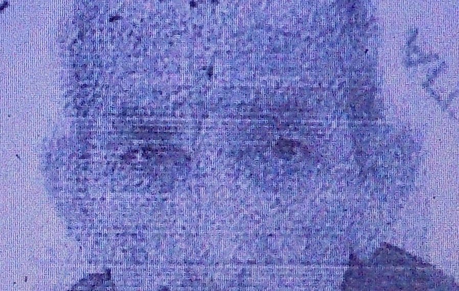 «Έφυγε» ο Απόστολος Καργιώτης