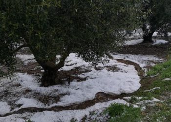Ο …απολογισμός στον Νομό Τρικάλων