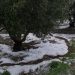 Ο …απολογισμός στον Νομό Τρικάλων