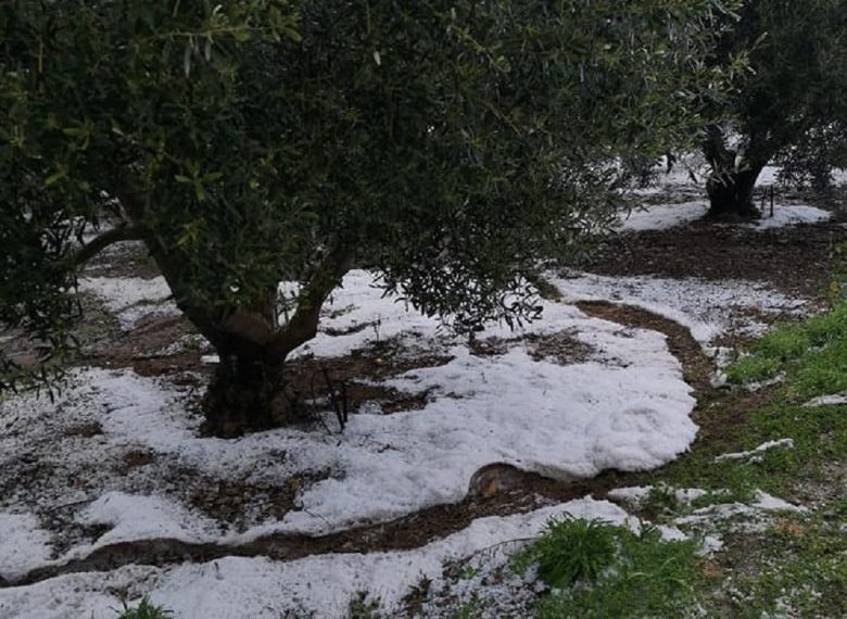 Ο …απολογισμός στον Νομό Τρικάλων