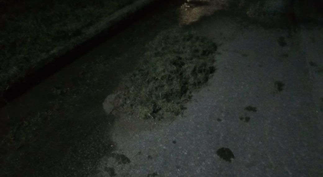 Υπάρχουν και αυτοί στα Τρίκαλα