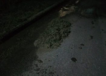 Υπάρχουν και αυτοί στα Τρίκαλα