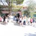 Πρώτο «κουδούνι» και στα Σχολεία του Δήμου Πύλης