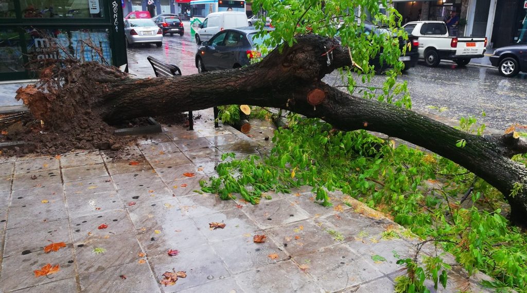 Αποφεύχθηκαν τα χειρότερα στην κεντρική πλατεία των Τρικάλων