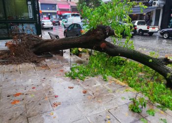 Αποφεύχθηκαν τα χειρότερα στην κεντρική πλατεία των Τρικάλων