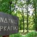Σε επιφυλακή η Μαγνησία