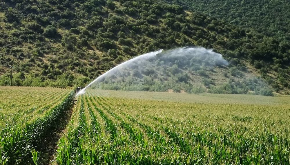Έγκριση δημοπράτησης έργου στα Αμπέλια Βασιλικής