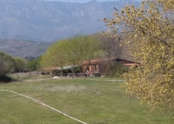 Αγγελία πώλησης
