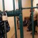 Μαζί στα ναρκωτικά και μαζί στα …κρατητήρια