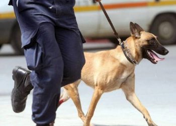 Με σκύλο η έφοδος Αστυνομικών σε οικία στα Τρίκαλα