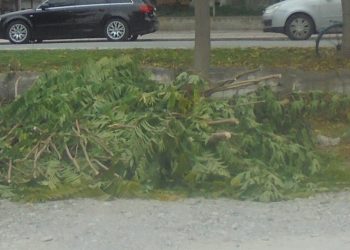 Μήπως να τα μαζεύατε κιόλας;