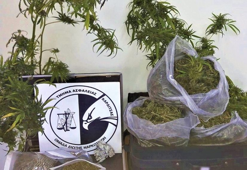 Χειροπέδες σε χασισοκαλλιεργητή